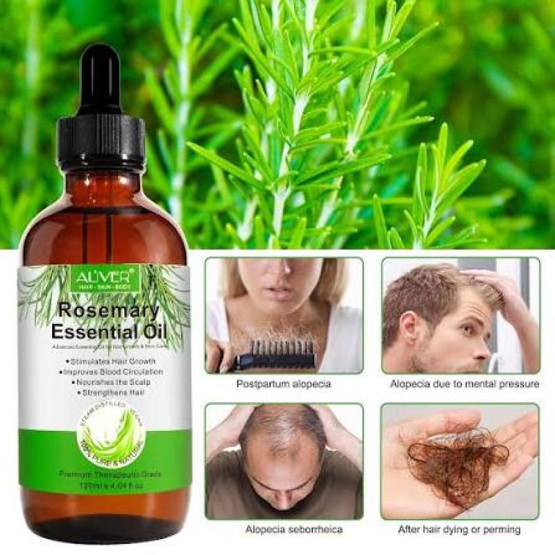 Rosemary Essential Oil for Hair Growth – Pure & Natural